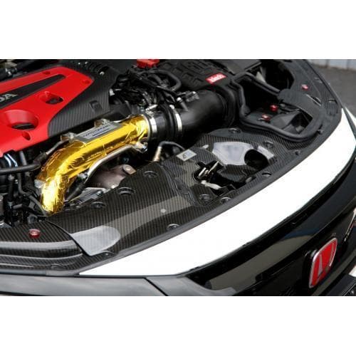 Kit de panel de refrigeración de radiador de fibra de carbono APR Performance | 17+ Honda Civic Tipo R (CF-917022)