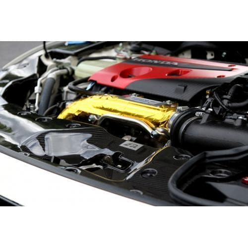 Kit de panel de refrigeración de radiador de fibra de carbono APR Performance | 17+ Honda Civic Tipo R (CF-917022)